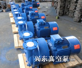 SK-1.5水環(huán)式真空泵